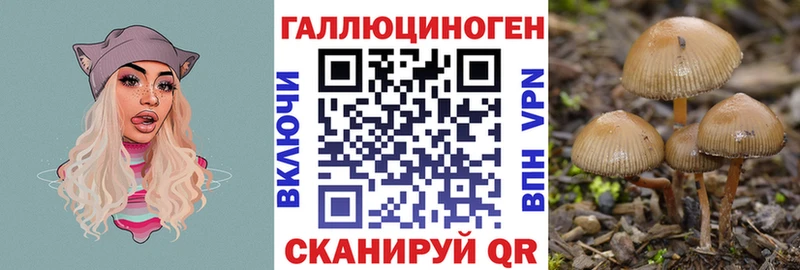 ссылка на мегу зеркало  Дзержинск  Галлюциногенные грибы Psilocybe 